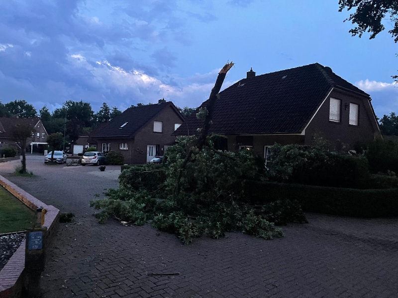 Einsatzfoto TH0 Baum auf der Fahrbahn