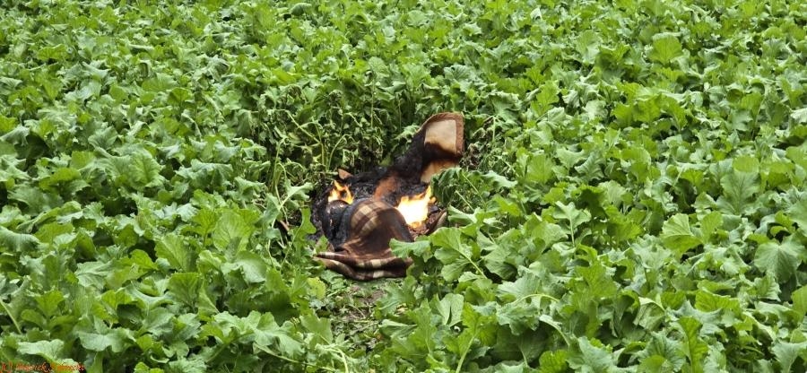 Einsatzfoto F1 Gasflasche auf dem Feld ...