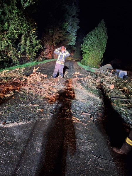 Einsatzfoto TH0 Baum auf der Straße