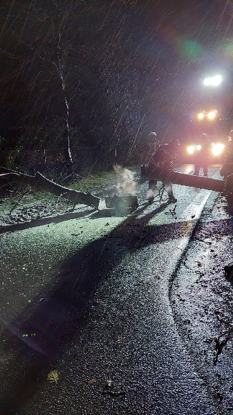 Einsatzfoto TH0 Baum auf der Straße