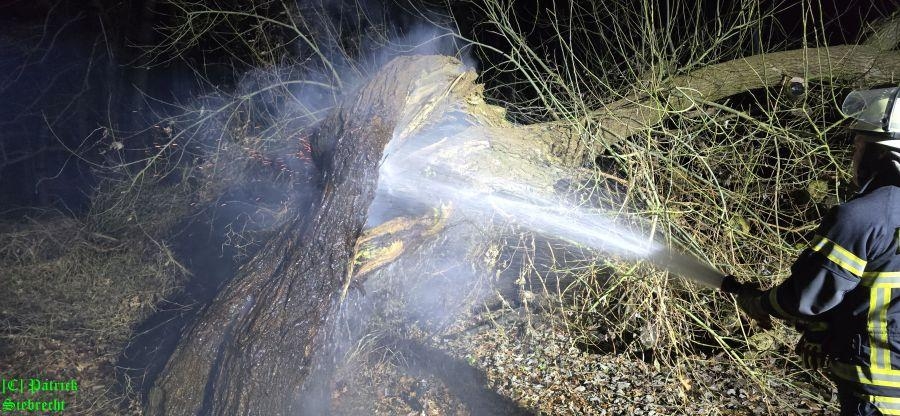 Einsatzfoto F1 brennt ein Baum